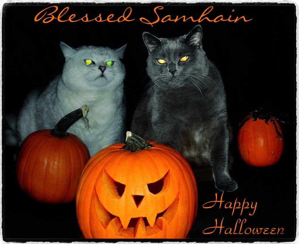 Blessed Samhain.jpg